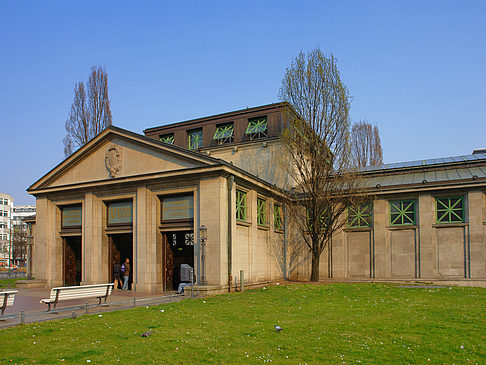 Wiese