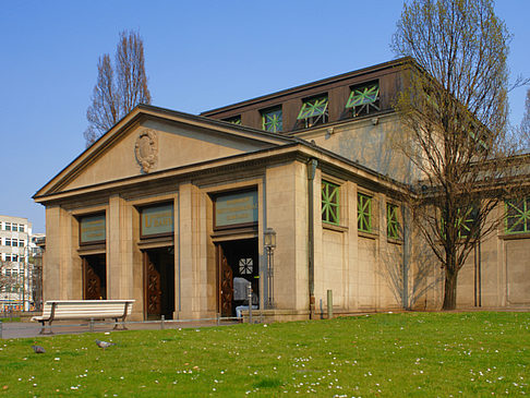 Wiese - Berlin (Berlin)