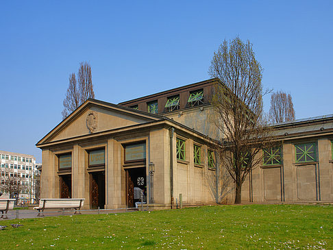 Wiese - Berlin (Berlin)