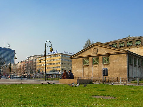 Wiese - Berlin (Berlin)