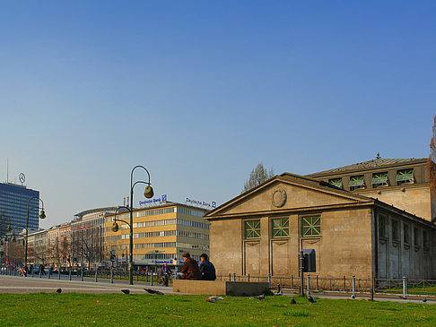 Wiese Foto 
