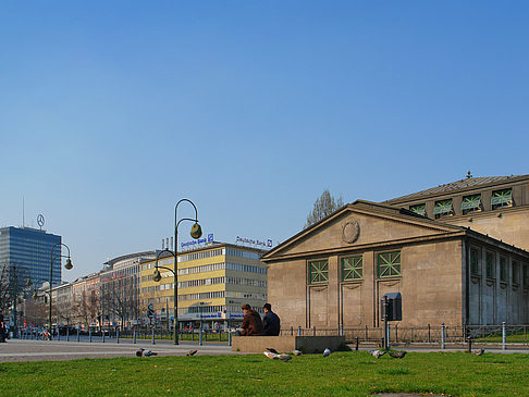 Wiese - Berlin (Berlin)