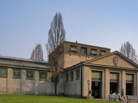 Foto Wiese - Berlin