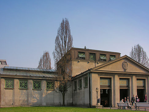 Foto Wiese