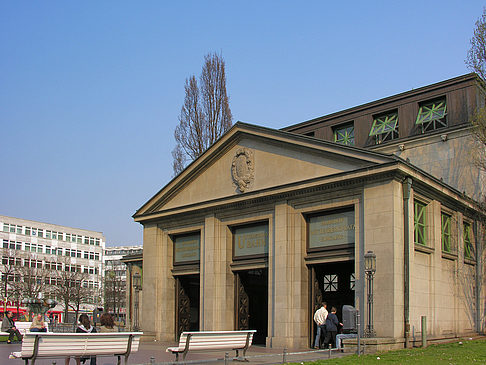 Wiese - Berlin (Berlin)