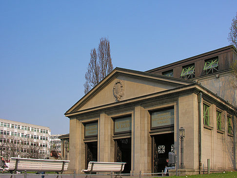 Wiese - Berlin (Berlin)