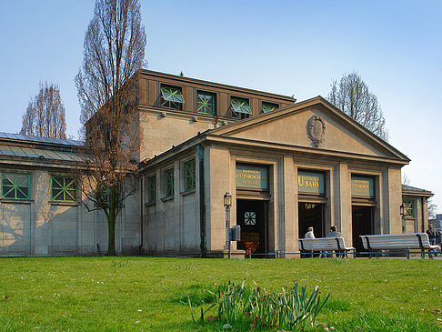 Wiese - Berlin (Berlin)