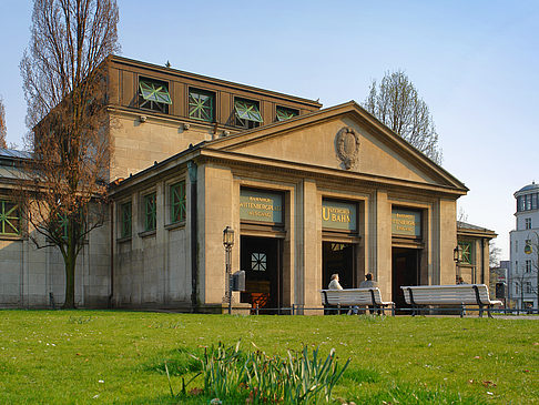 Wiese - Berlin (Berlin)
