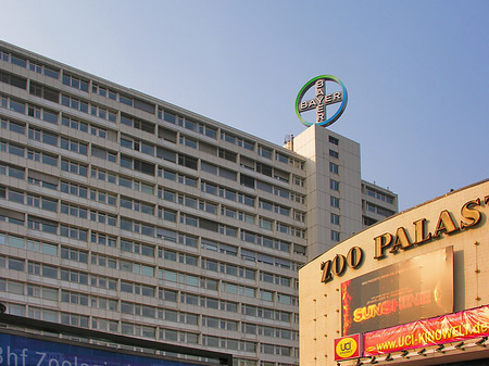 Foto Zoo Palast