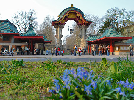Foto Eingang mit Wiese