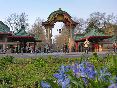 Foto Eingang mit Wiese