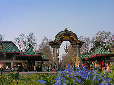 Eingang mit Wiese - Berlin (Berlin)